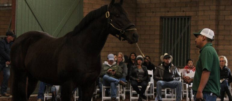 Rancho San Miguel Open House Nov. 16