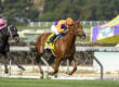 Breeders’ Cup Before Forbidden Kingdom Breeds?