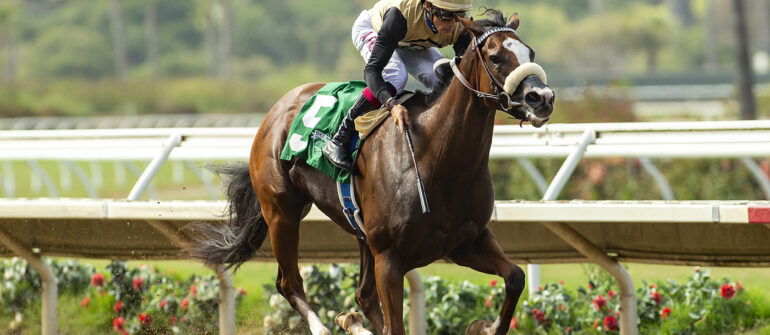 Hot Girl Walk in Golden State Juvenile Fillies