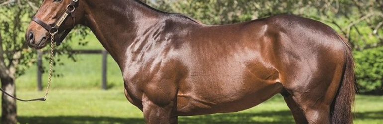 Catholic Boy to Stand at Harris Farms