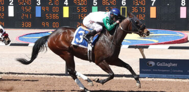 Graded-placed Alotaluck in Zia Park Derby