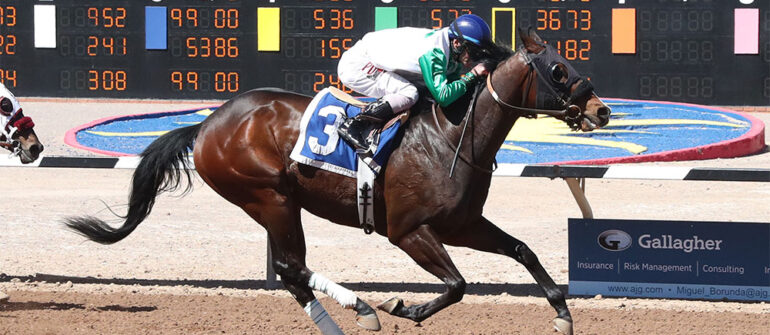 Graded-placed Alotaluck in Zia Park Derby