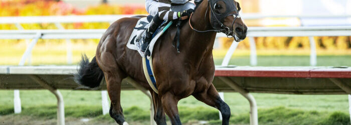 Cal Cup Sprint on Deck for Big City Lights