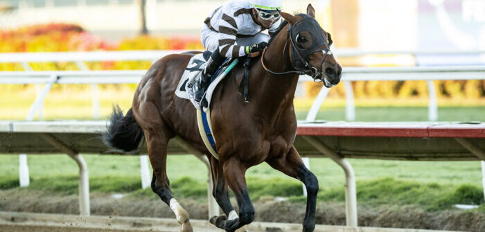 Cal Cup Sprint on Deck for Big City Lights