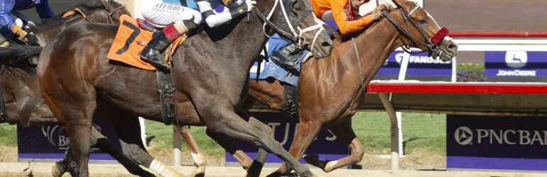 Tequilaandtherapy by a Nose in Juvenile Fillies