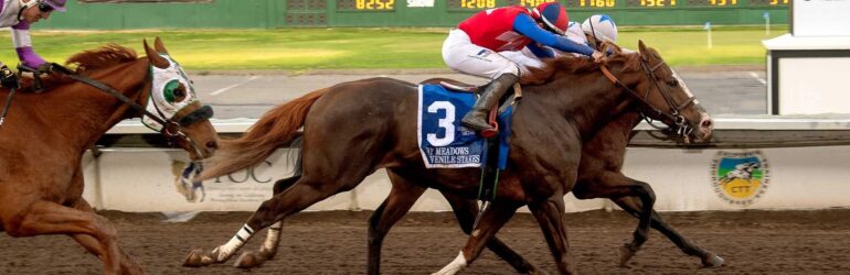 NorCal Sale Grad Wins Bay Meadows Juvenile