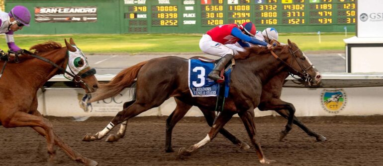 NorCal Sale Grad Wins Bay Meadows Juvenile