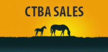 CTBA Winter Mixed Sale Tuesday, Jan. 21