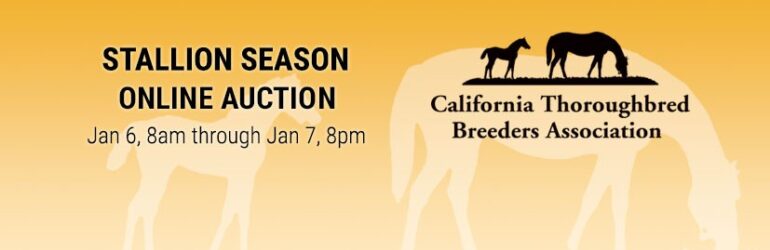 CTBA Stallion Season Online Auction Jan. 6-7