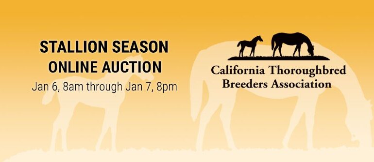 CTBA Stallion Season Online Auction Jan. 6-7