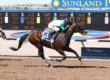 Alotaluck Reports to Ft. Bliss Stakes