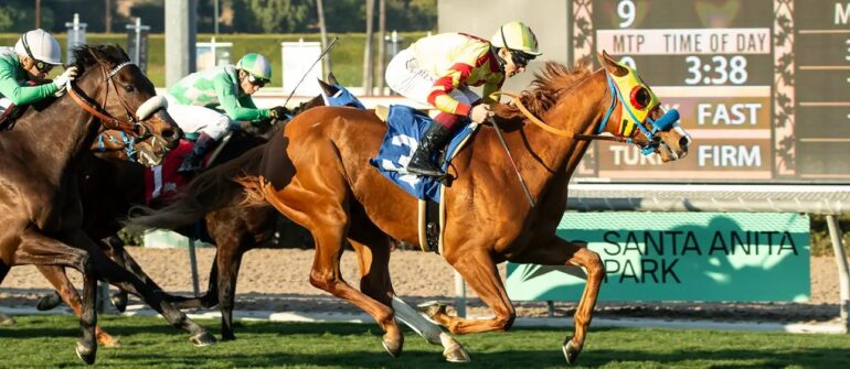 Old Pal Wins Cal Cup Turf Classic Stakes