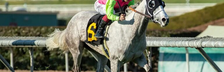 Valpredo’s Shocking Grey Wins First Stakes