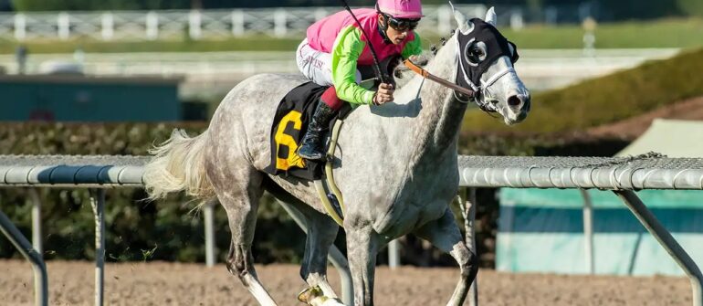 Cal Cup Winner Shocking Grey Sells Tuesday