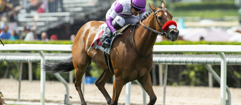 Stay and Scam in Filly & Mare Turf Sprint