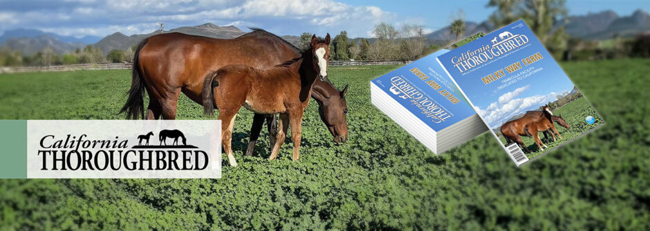 California Thoroughbred Magazine
