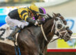 Chismosa Returns in Mizdirection Stakes