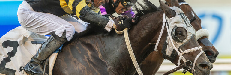 Chismosa Returns in Mizdirection Stakes