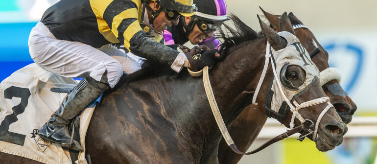 Chismosa Returns in Mizdirection Stakes