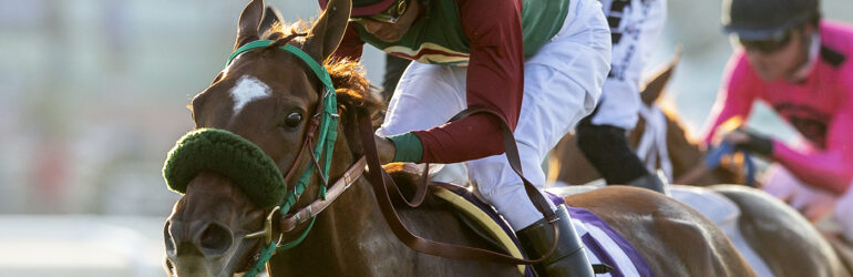 Grand Slam Smile Joins Sean McCarthy Stable
