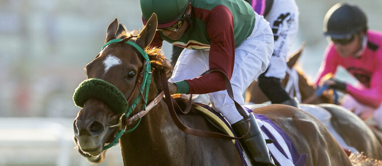 Grand Slam Smile Joins Sean McCarthy Stable