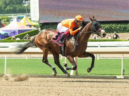 Listing Gets First Winner in Saul Elliott