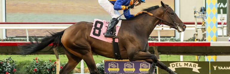 Stakes-winning Trio Tangles in Melair