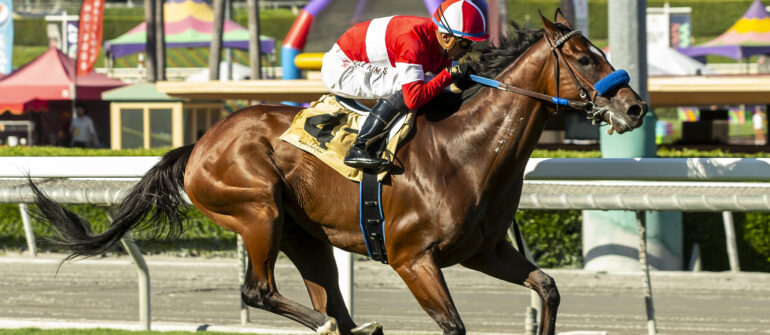 Kings River Knight Returns to Crystal Water