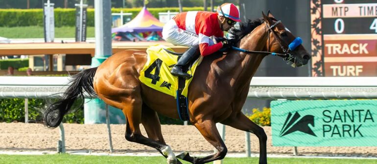 Another Crystal Water for Kings River Knight