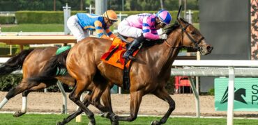 Prancingthruparis, Grand Slam Smile Meet