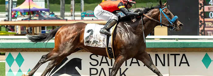 Private Gem Rail Ride Wins Thor’s Echo