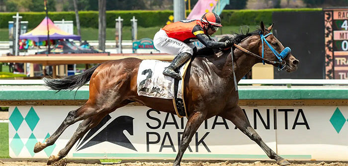 Private Gem Rail Ride Wins Thor’s Echo