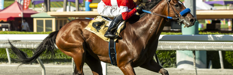 Bertrando Stakes Next for Kings River Knight