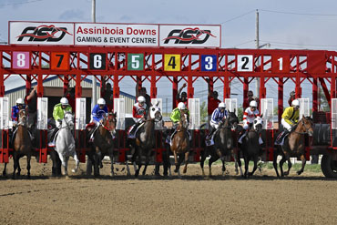 Marking Broadway Enters Osiris Stakes