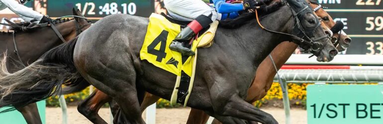 Miso Phansy Can Prove It in San Clemente