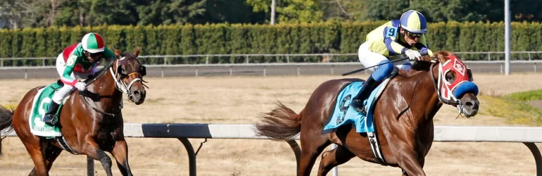 Si That Tiger Wins Another Emerald Stakes