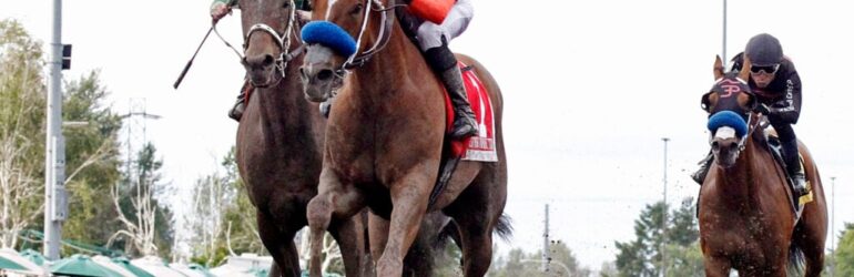 Clovisconnection Running for Governor’s