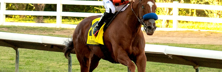 Clovisconnection Going Longacres Mile