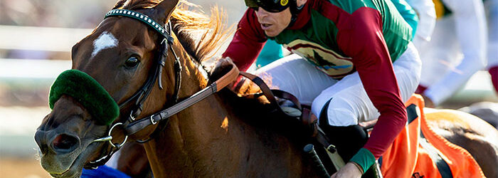 Grand Slam Smile Homers in Solana Beach