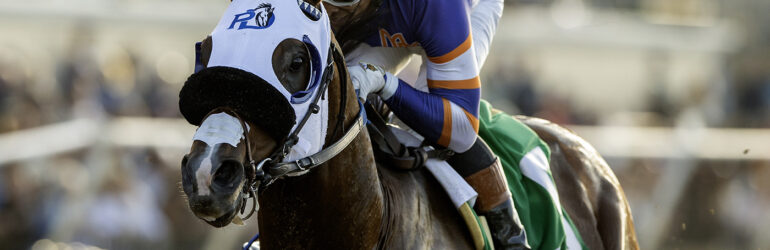 D’Amato Ready to Test Speedy Wilson