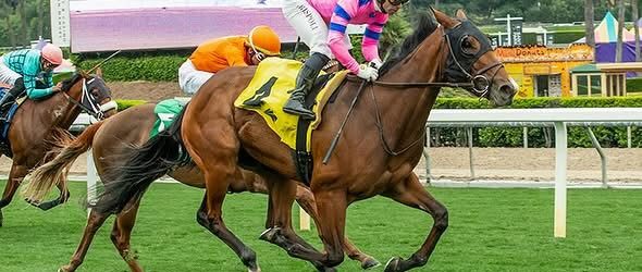 Miso Phansy in Grade I Del Mar Oaks