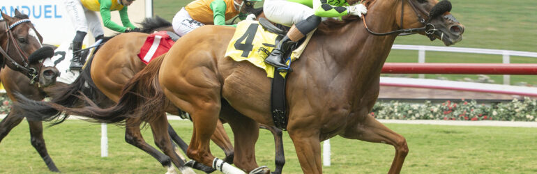 Streaking Om N Joy Wins Torrey Pines