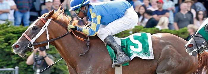 Stay Sassy Takes Emerald Distaff