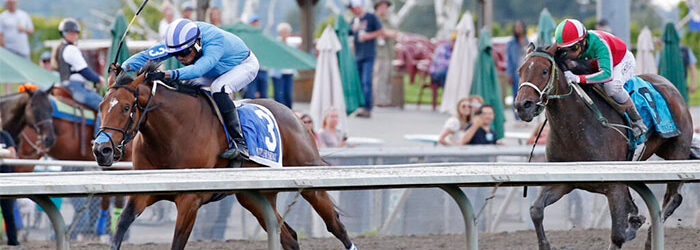 Chatty Leroybrown Wins Washington Oaks