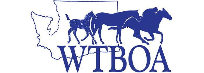 Straight Fire Filly Sells for $110,000