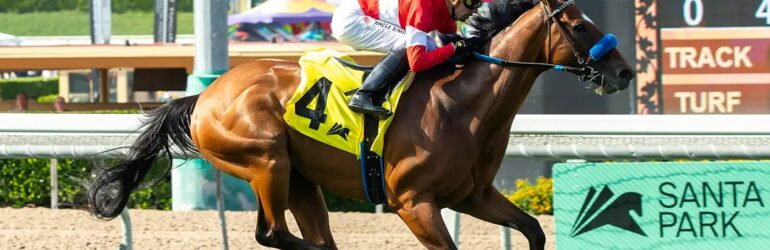 Champion Kings River Knight Retired