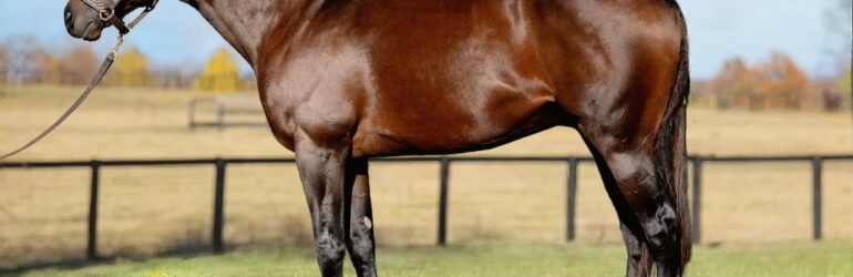 Smooth Like Strait Relocates to Eclipse