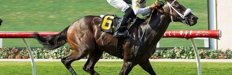 NorCal Sale Grad Enters Speakeasy Stakes