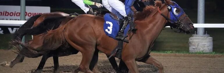 Magic Tiger Sets Sights on Third Gold Cup