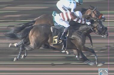 Max Ciao By a Nose in I’m Smokin Stakes